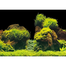 AQUA NOVA Fundal acvariu fata-verso, marime XL, 150x60cm, roci / plante