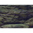 AQUA NOVA Fundal acvariu fata-verso, marime XL, 150x60cm, roci / plante