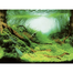 AQUA NOVA Fundal acvariu fata-verso, marime S, 60x30cm, plante/ ocean