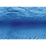 AQUA NOVA Fundal acvariu fata-verso, marime S, 60x30cm, radacini / apa