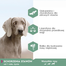 EUKANUBA Daily Care Adult Sensitive Joints hrana uscata caini adulti cu articulatii sensibile 2.3 kg