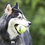KONG SqueakAir Ball L 2 buc minge tenis pentru caini