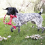 KONG Goodie Bone with Rope M jucarie pentru caini