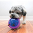 KONG Hopz Ball, jucarie pentru recompense pentru caini, marime L