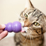 KONG Kitty jucarie pentru recompense pentru pisici