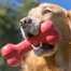 KONG Goodie bone large 22 cm