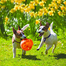 KONG Jumbler Ball L/M jucarie de aport pentru caini