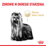 ROYAL CANIN Yorkshire Terrier Adult 8+ hrana uscata caine senior, 3 kg