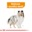ROYAL CANIN Coat Care- Hrana umeda pentru blana, pentru câinii adulți, 12 plicuri x 85 g