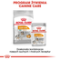 ROYAL CANIN Coat Care- Hrana umeda pentru blana, pentru câinii adulți, 12 plicuri x 85 g