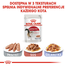 ROYAL CANIN Instinctive pate 12 x 85 g