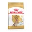 ROYAL CANIN Yorkshire Terrier Adult 8+ hrana uscata caine senior, 3 kg