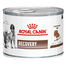 ROYAL CANIN Vet Dog/Cat Recovery 195 g hrana umeda dietetica pentru caini/pisici dupa interventii chirurgicale, in perioada de convalescenta