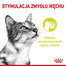 ROYAL CANIN Sensory Smell Gravy hrana umeda pentru pisici, in sos 12 x 85 g