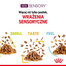 ROYAL CANIN Sensory Smell Gravy hrana umeda pentru pisici, in sos 12 x 85 g