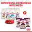 ROYAL CANIN Sensory Smell Gravy hrana umeda pentru pisici, in sos 12 x 85 g