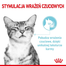 ROYAL CANIN Sensory Feel Gravy hrana umeda pentru pisici, in sos 12 x 85 g