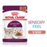 ROYAL CANIN Sensory Feel Gravy hrana umeda pentru pisici, in sos 12 x 85 g