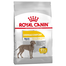 ROYAL CANIN Maxi Dermacomfort 12 kg hrana dietetica pentru caini adulti de talie mare cu pielea predispusa la iritatii