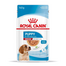 Royal Canin Medium Puppy hrana umeda caine junior 10x140 g
