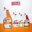 NATURE'S MIRACLE SET-IN OXY Stain&Odour Remover Cat Spray indepartare pete si mirosuri, pisica 709 ml