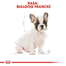Royal Canin French Bulldog Puppy hrana uscata pentru catei Bulldog 1 kg