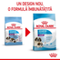 Royal Canin Giant Starter Mother & Babydog gestatie/ lactatie pui hrana uscata caine 15 kg