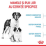 Royal Canin Giant Starter Mother & Babydog gestatie/ lactatie pui hrana uscata caine 15 kg