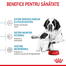 Royal Canin Giant Starter Mother & Babydog gestatie/ lactatie pui hrana uscata caine 15 kg