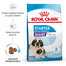 Royal Canin Giant Starter Mother & Babydog gestatie/ lactatie pui hrana uscata caine 15 kg