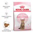 Royal Canin Kitten Sterilised hrana uscata pentru pisicute sterilizate cu varsta cuprinsa intre 4 si 12 luni 400 g
