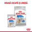 Royal Canin Mini Light Weight Care Adult hrana uscata pentru caini adulti de talie mica, pentru limitarea cresterii in greutate 8 kg