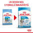 Royal Canin Mini Puppy hrana uscata pentru catei de talie mica 8 kg