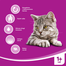 WHISKAS Adult hovězí a mrkev 0.3 kg