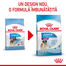 Royal Canin Giant Junior hrana uscata caine junior etapa 2 de crestere , 15 kg