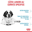 Royal Canin Giant Junior hrana uscata caine junior etapa 2 de crestere , 15 kg