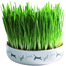 TRIXIE Bol Ceramic 15 x 4 cm iarba mâței pentru pisici