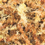 TRIXIE Așternut mușchi sphagnum 100 g