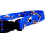 FERA Zgarda pentru caini, cu inchizatoare de plastic Shark 25mm/34-60 cm