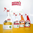 NATURE'S MIRACLE Urine Stain&Odour Remover Dog Spray impotriva petelor si miorsurilor, caine 946 ml