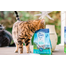 ZIWIPEAK Cat Hrana uscata pentru pisici, cu macrou si miel 1kg