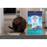 ZIWIPEAK Cat Hrana uscata pentru pisici, cu macrou si miel 1kg