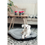 FERA Sky Ponton pat pentru caine S 74 x 46 cm