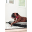 FERA Sunset Ponton pat pentru animale de companie M 82 x 57 cm