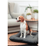 FERA Sunset Ponton pat pentru catei S 70 x 46 cm