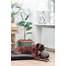 FERA Sunset Ponton pat pentru catei S 70 x 46 cm