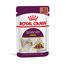 ROYAL CANIN Sensory Smell gravy 24x85 g bucăți în sos pentru pisici adulte pentru a stimula experiența olfactivă