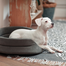 FERA Pat oval cu perna pentru caini, gri, Marime S: 53 x 44 x 16