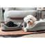 FERA Pat oval cu perna pentru caini, gri, Marime S: 53 x 44 x 16