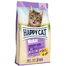 HAPPY CAT Hrana uscata pentru pisici, pentru sprijinirea tractului urinar, 10 kg
